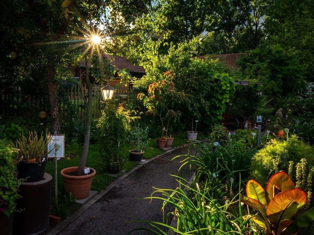 Bild vom Kraeutergarten Schnaittenbach